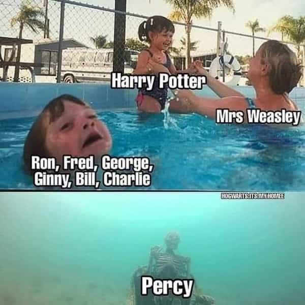 harry potter and ginny memes