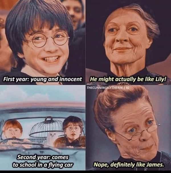 The Best Harry Potter Memes of the Week (October 3, 2022)