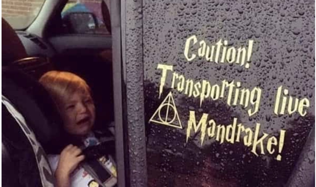 30 Harry Potter Memes That Partied Way Too Hard at Hogwarts - Funny Gallery