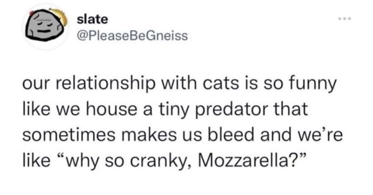 [30 MEMES] It's funny because it's true - The internet's most relatable ...