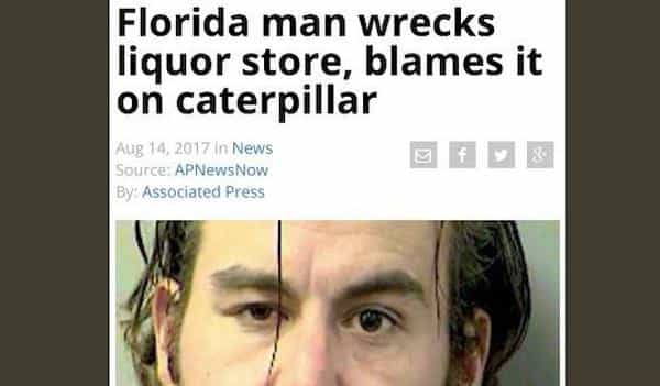 25 Florida Man Headlines That Have Left Us Speechless 