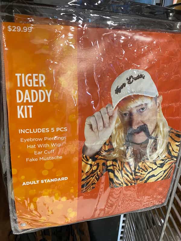 30 Of The Funniest Knock Off Halloween Costumes