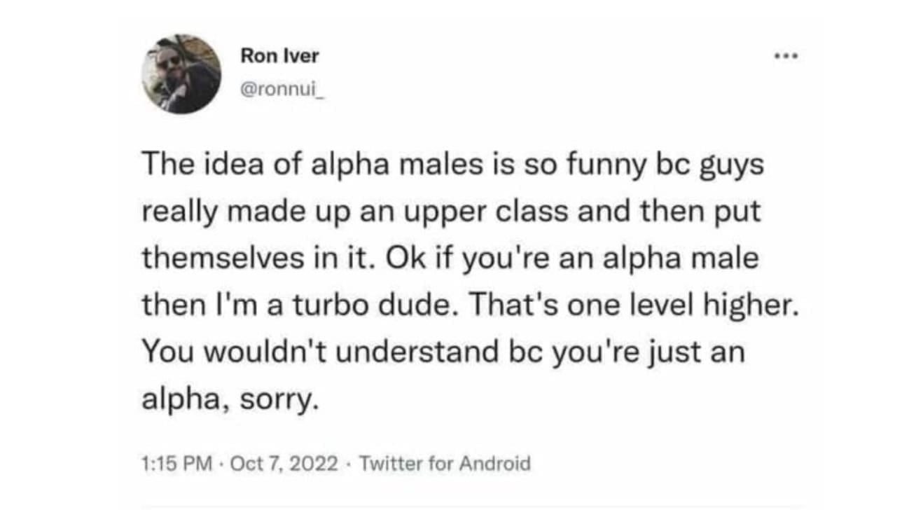 25 MEMES] The Nightcap - The funniest memes from today (Meme Gallery), image size:1308x728