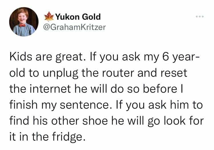 Kids are great. If you ask my 6 year-old to unplug the router and reset the internet he will do so before I finish my sentence. If you ask him to find his other shoe he will go look for it in the fridge.