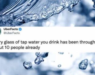 Every glass of tap water you drink has been through about 10 people already