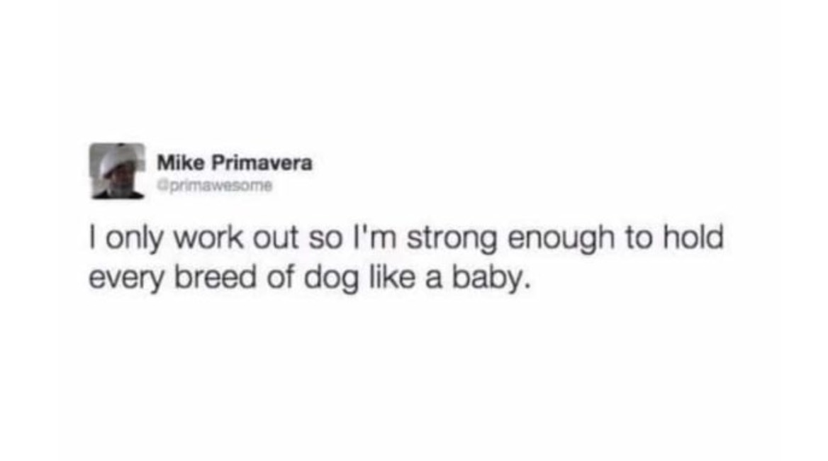 I only work out so I'm strong enough to hold every breed of dog like a baby.