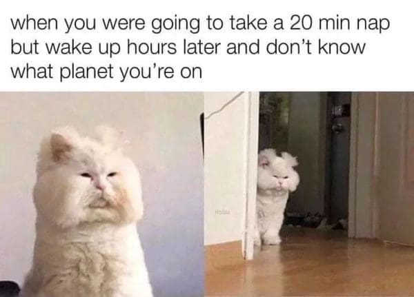 [30 MEMES] It's funny because it's true - your daily relatable meme drop