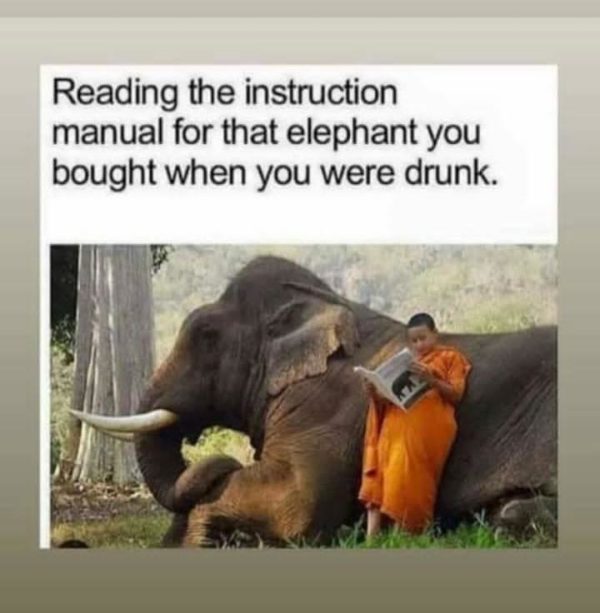 funny elephant meme