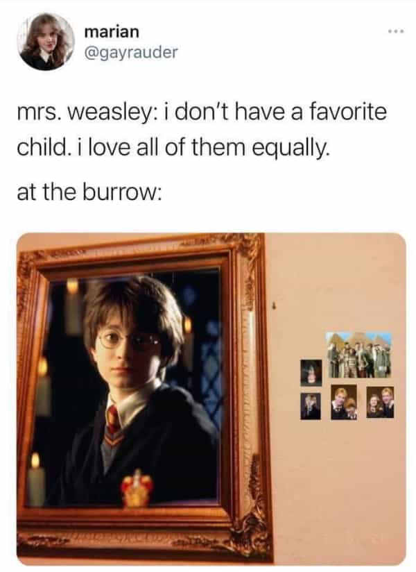 Some Funny Harry Potter Memes - KidzTalk