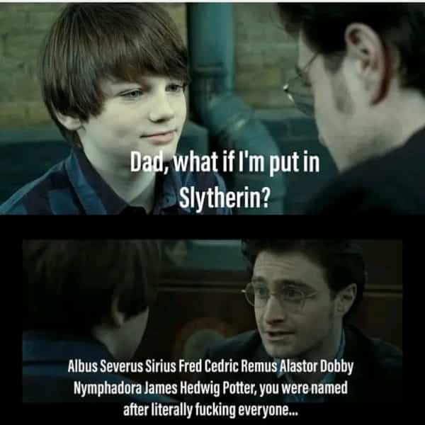 Harry Potter Memes Part 27 