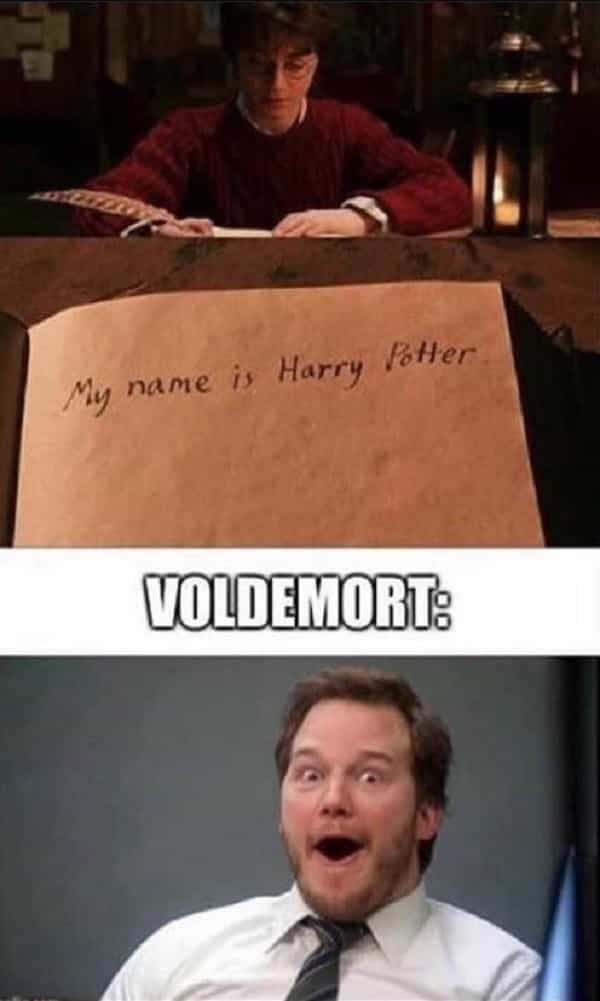 12 Of The Funniest Harry Potter Pictures  Harry potter memes, Harry potter  funny, Harry potter memes hilarious