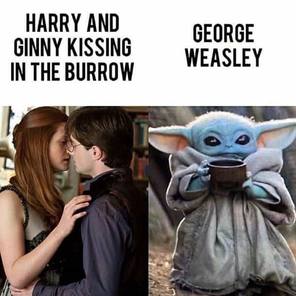 Thunder Dungeon - Funny Memes, Funny Pictures, Funny Gifs and Funny videos  daily. Submit your own. - harry potter memes-11-20220830
