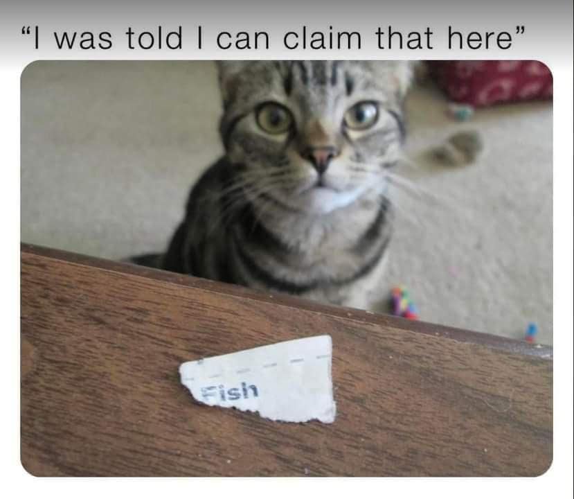 classic memes3020230220 Thunder Dungeon The Funniest Memes. Period.