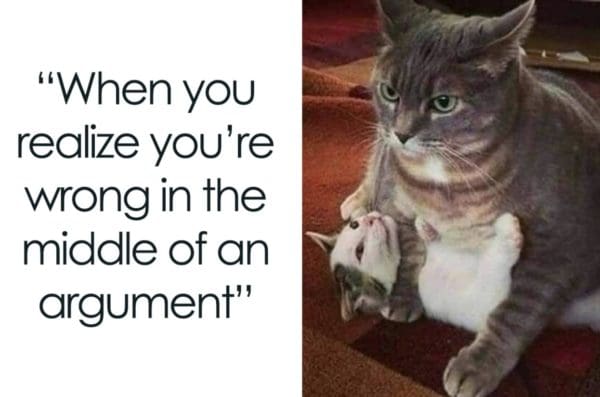 30 Of the most finicky cat memes for the cat owners and fans