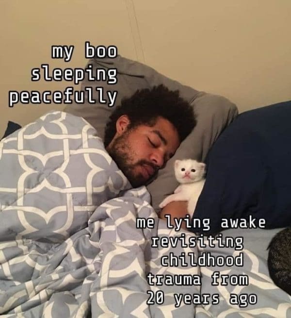 30 Of the most finicky cat memes for the cat owners and fans