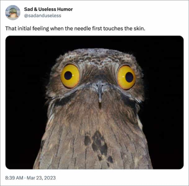 That initial feeling when the needle first touches the skin.