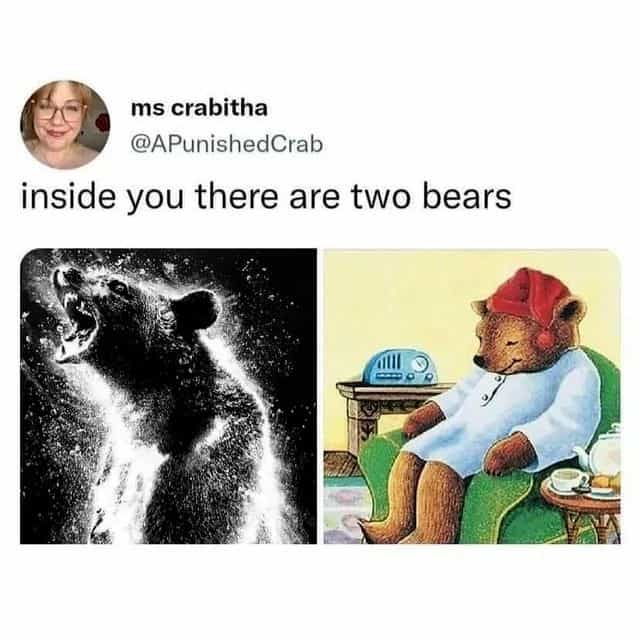 inside you there are two bears cocaine bear sleepy meme