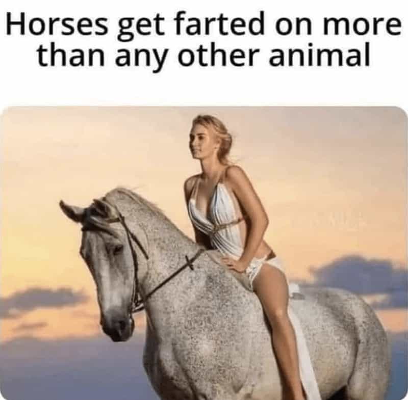 Horses get farted on more than any other animal woman on horse