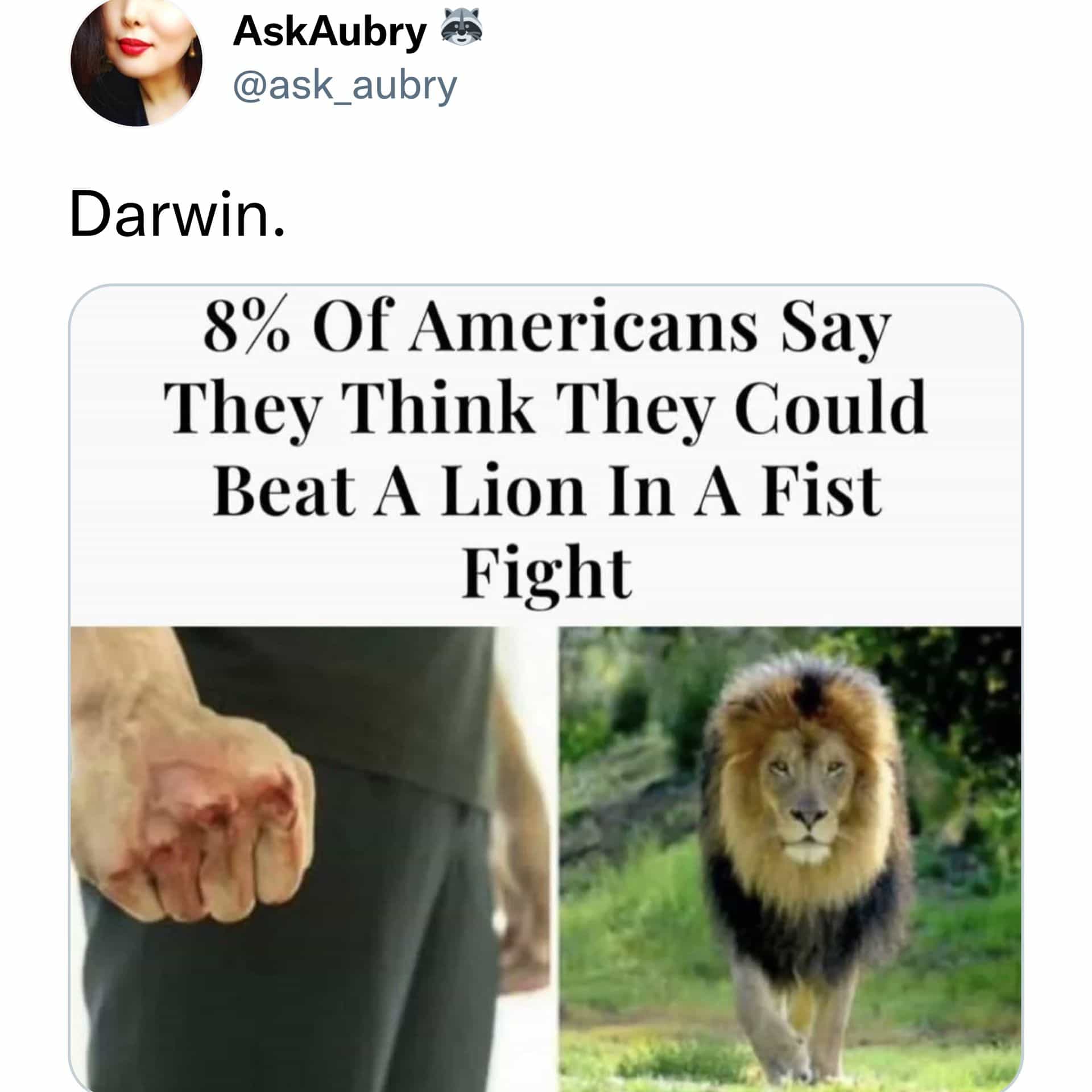 8% Of Americans Say They Think They Could Beat A Lion In A Fist Fight
