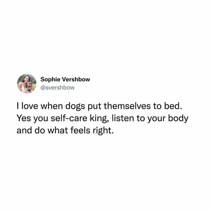 I love when dogs put themselves to bed. Yes you self-care king, listen to your body and do what feels right.