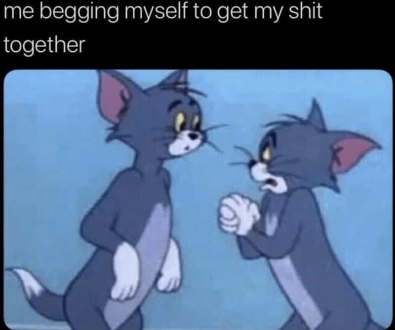 me begging myself to get my shit together Tom and jerry