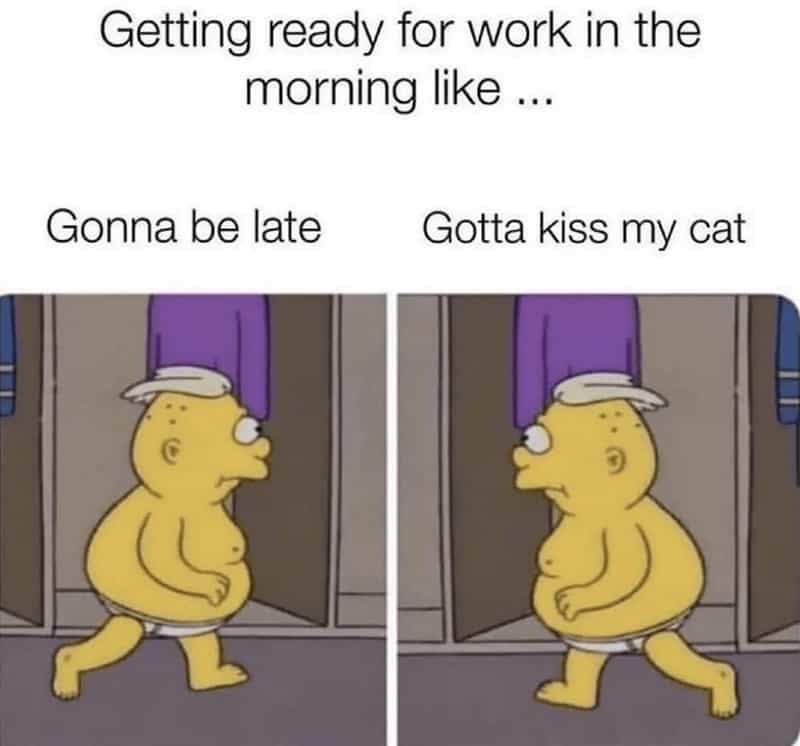 Getting ready for work in the morning like ... Gonna be late Gotta kiss my cat