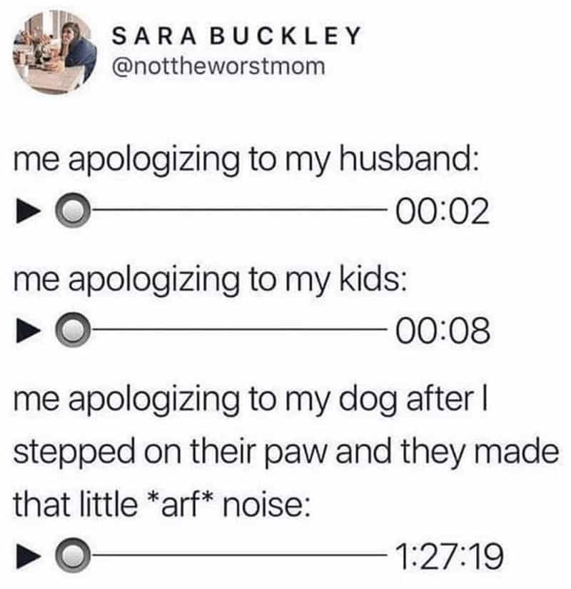 me apologizing to my husband: - 00:02 me apologizing to my kids: 00:08 me apologizing to my dog after I stepped on their paw and they made that little *arf* noise: