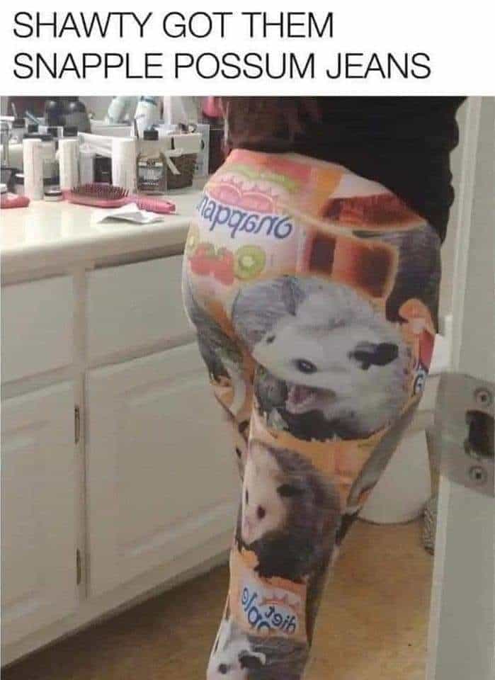 SHAWTY GOT THEM SNAPPLE POSSUM JEANS