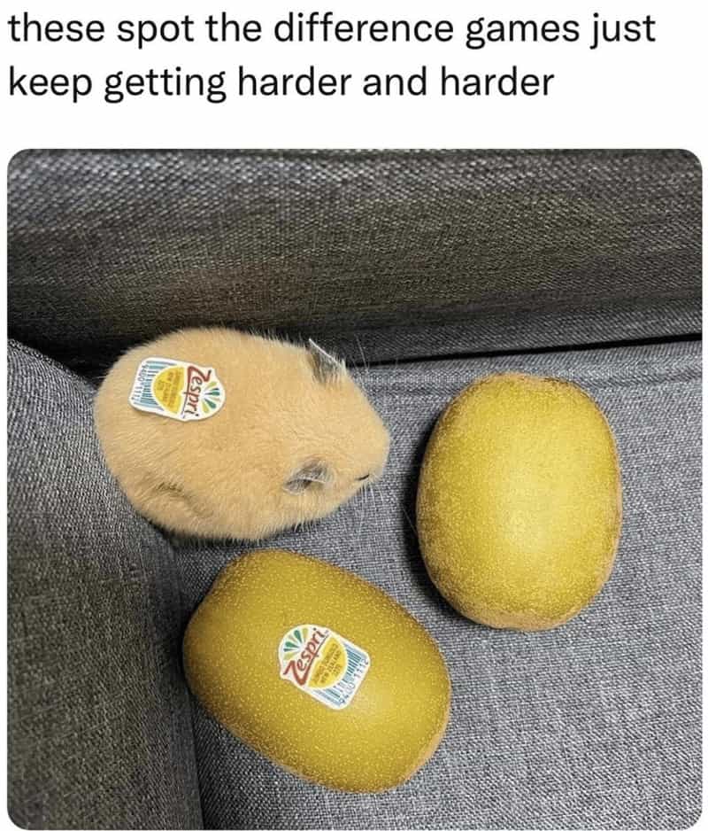these spot the difference games just keep getting harder and harder mouse lemon