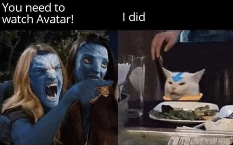 You need to watch Avatar! I did yelling woman cat meme