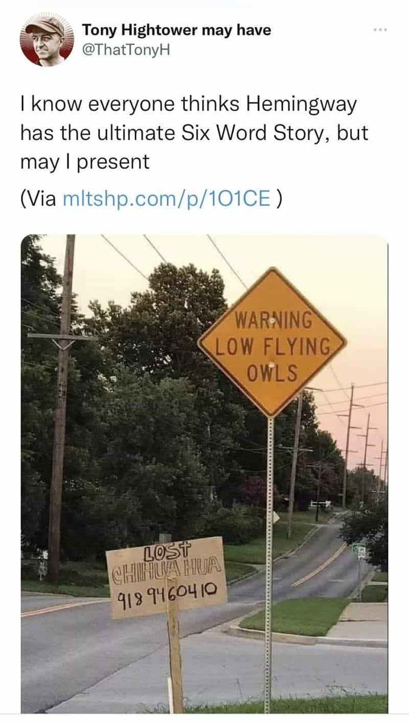 I know everyone thinks Hemingway has the ultimate Six Word Story, but may present lost chihuahua meme