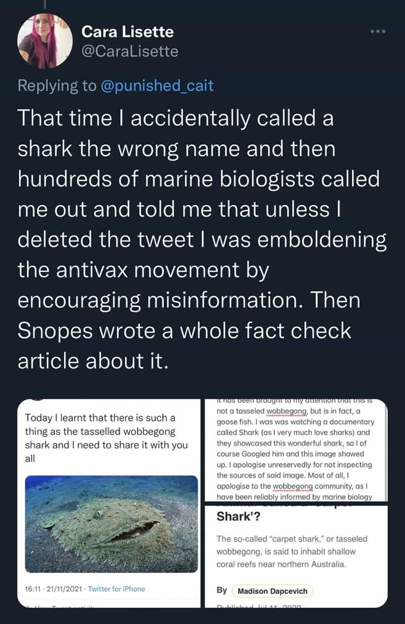 That time I accidentally called a shark the wrong name and then hundreds of marine biologists called me out and told me that unless I deleted the tweet I was emboldening the antivax movement by encouraging misinformation. Then Snopes wrote a whole fact check article about it.
