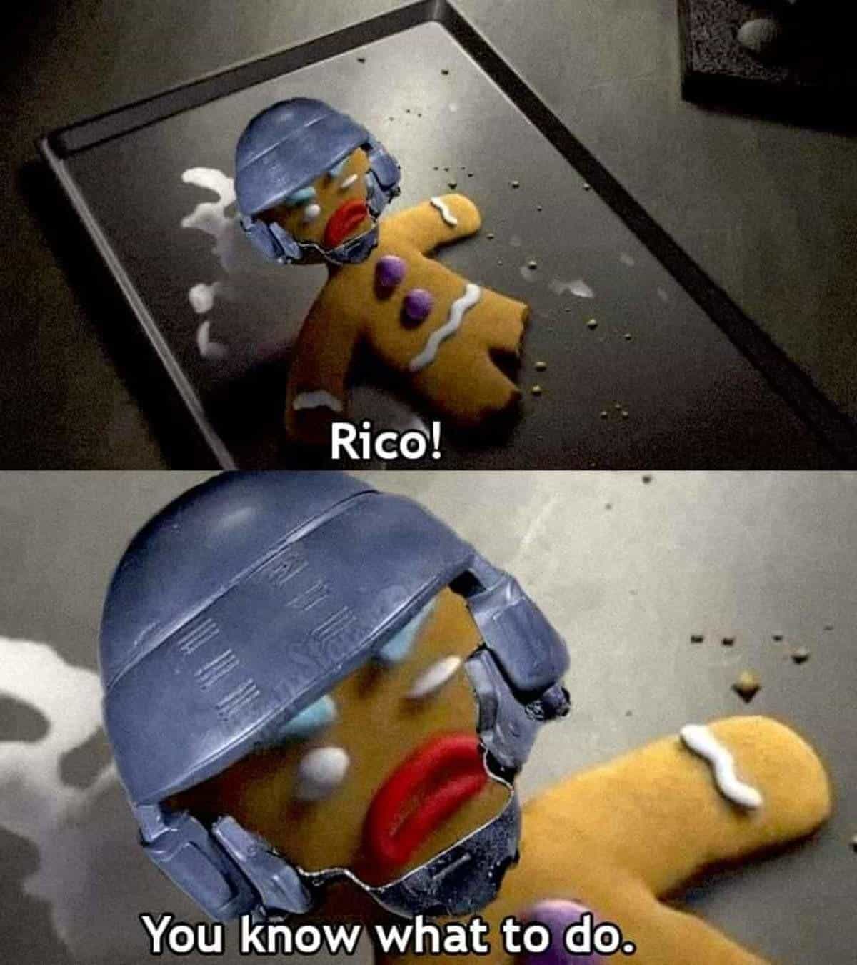Rico! You know what to do. mr gingerbread man