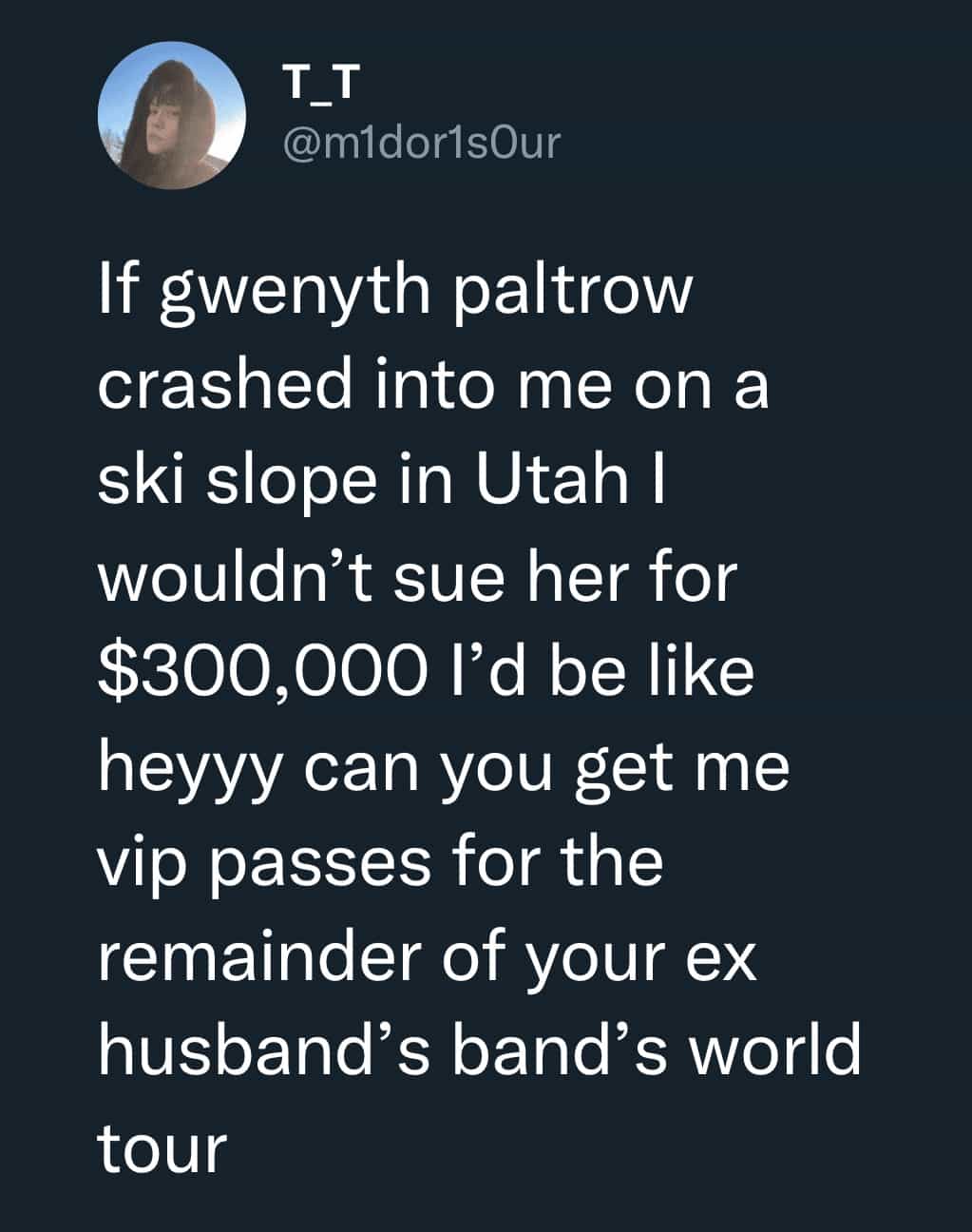 If gwenyth paltrow crashed into me on a ski slope in Utah I wouldn't sue her for $300,000 l'd be like heyyy can you get me vip passes for the remainder of your ex husband's band's world tour