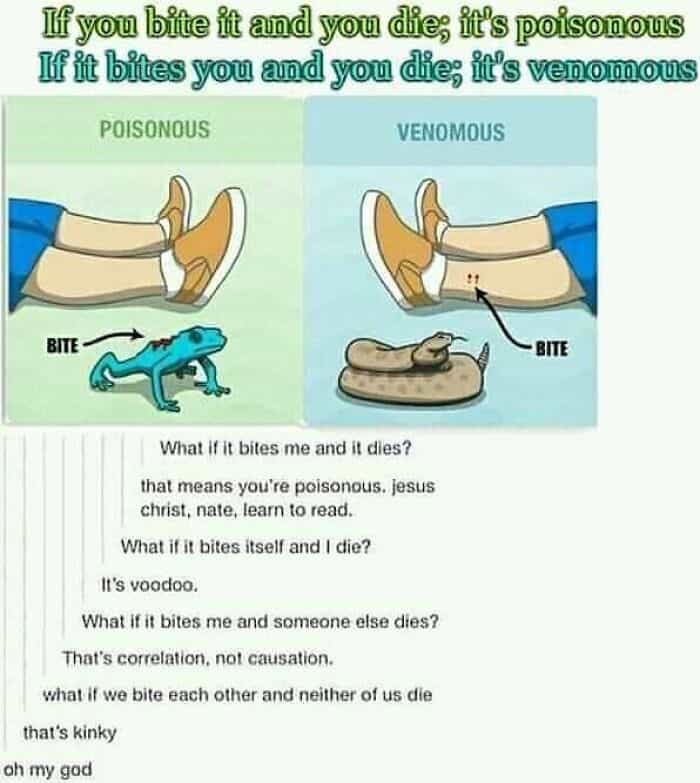 What if it bites me and it dies? that means you're poisonous. jesus christ, nate, learn to read. What if it bites itself and I die? It's voodoo. What if it bites me and someone else dies? That's correlation, not causation. what if we bite each other and neither of us die that's kinky ah my god