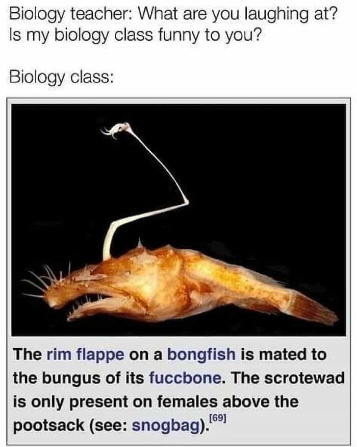Biology teacher: What are you laughing at? Is my biology class funny to you? Biology class: The rim flappe on a bongfish is mated to the bungus of its fuccbone. The scrotewad is only present on females above the pootsack (see: snogbag)