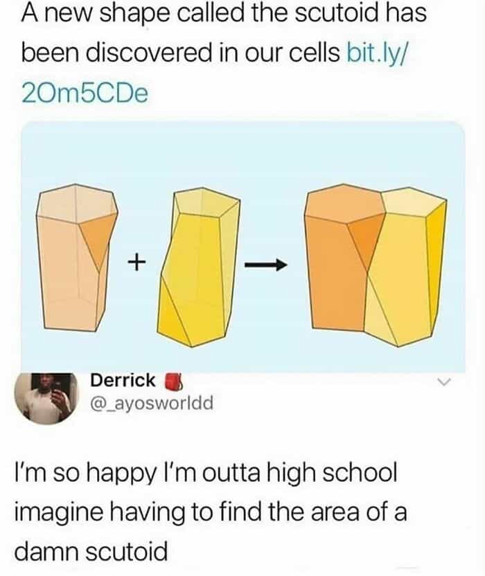 I'm so happy l'm outta high school imagine having to find the area of a damn scutoid