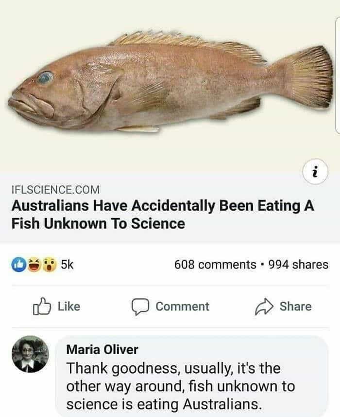 Thank goodness, usually, it's the other way around, fish unknown to science is eating Australians.