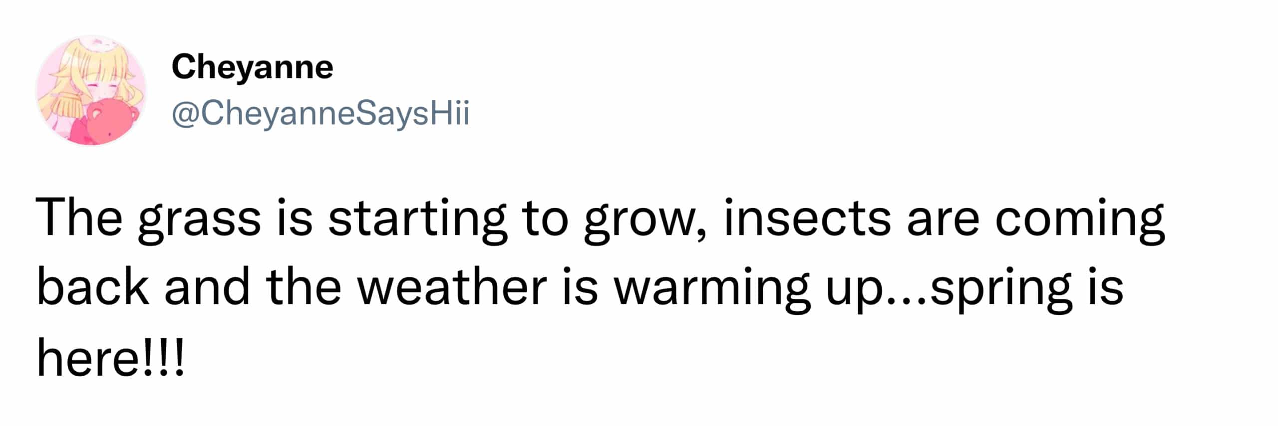 The grass is starting to grow, insects are coming back and the weather is warming up...spring is here!!!