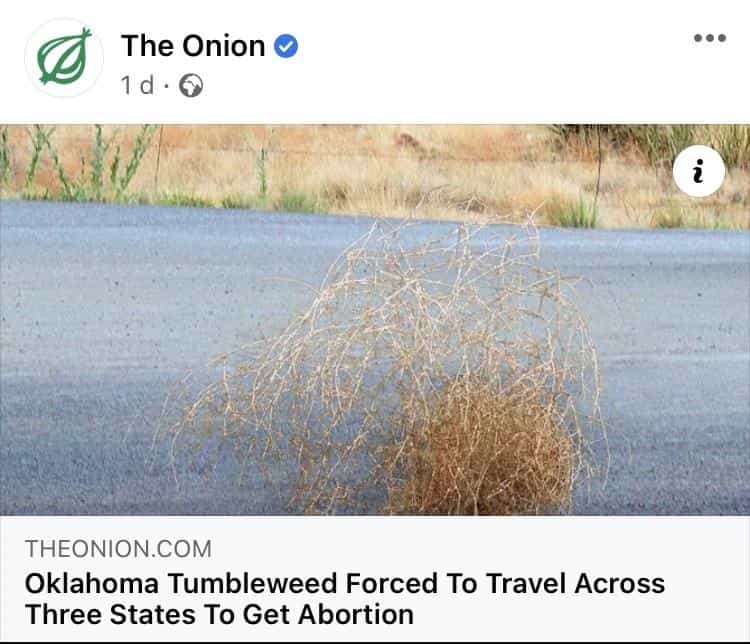 best onion headlines144232023 Thunder Dungeon The Funniest
