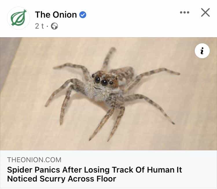 best onion headlines24232023 Thunder Dungeon The Funniest Memes