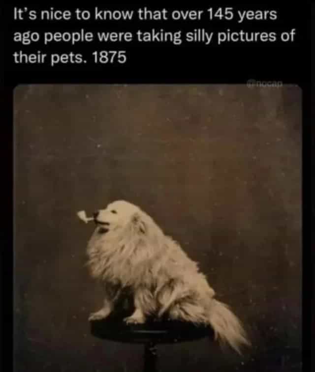 It's nice to know that over 145 years ago people were taking silly pictures of their pets. 1875