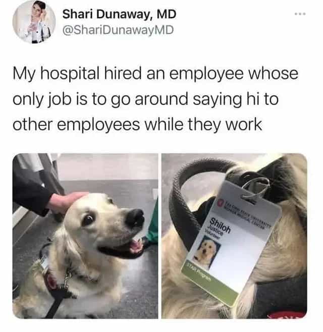 My hospital hired an employee whose only job is to go around saying hi to other employees while they work