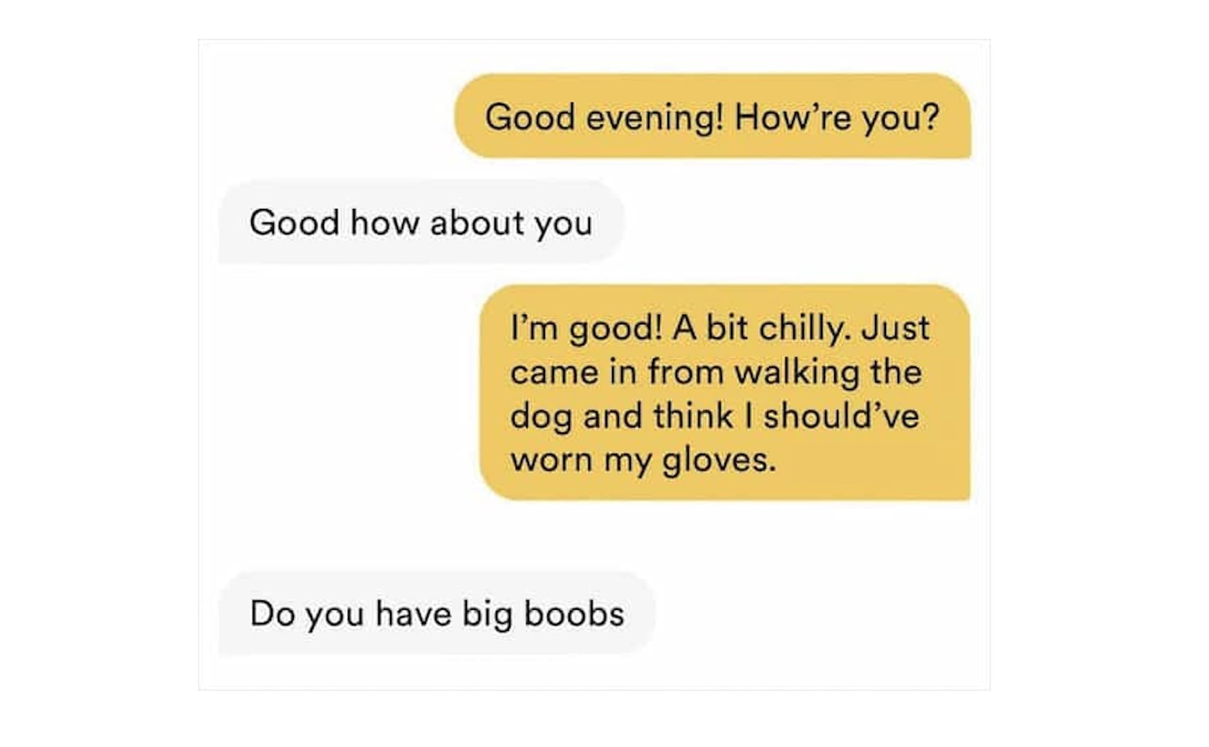 Best of Bumble 20 of the most unhinged bumble conversations