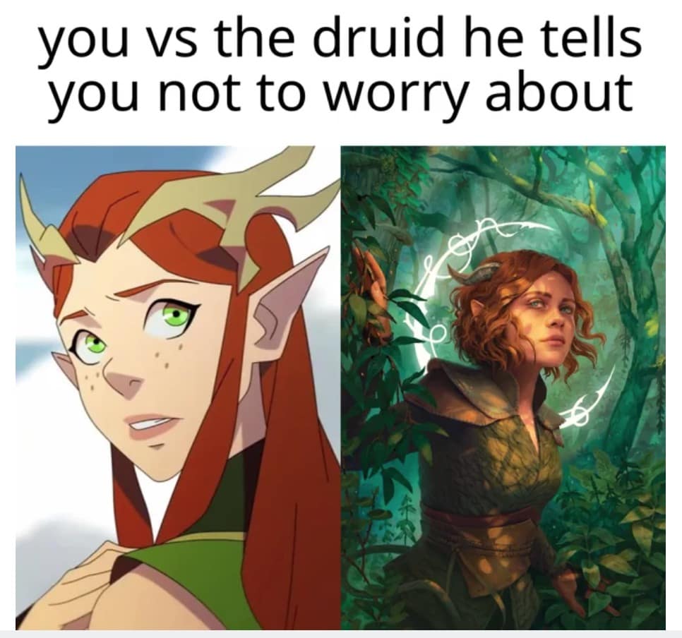 d&d memes