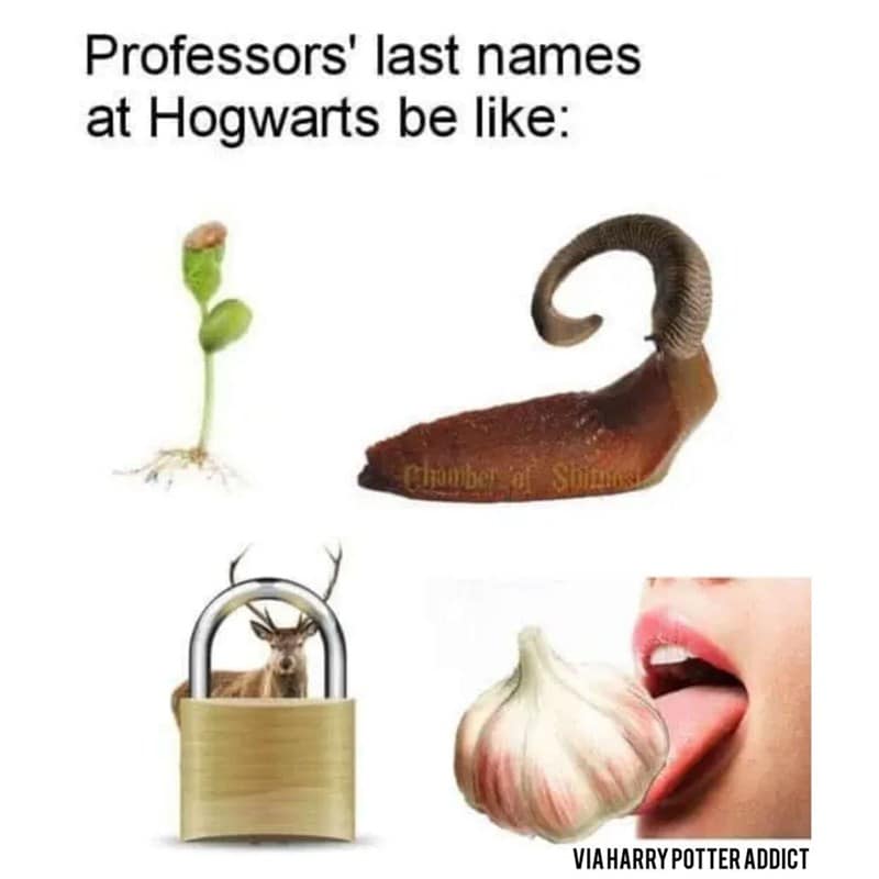 harry potter memes