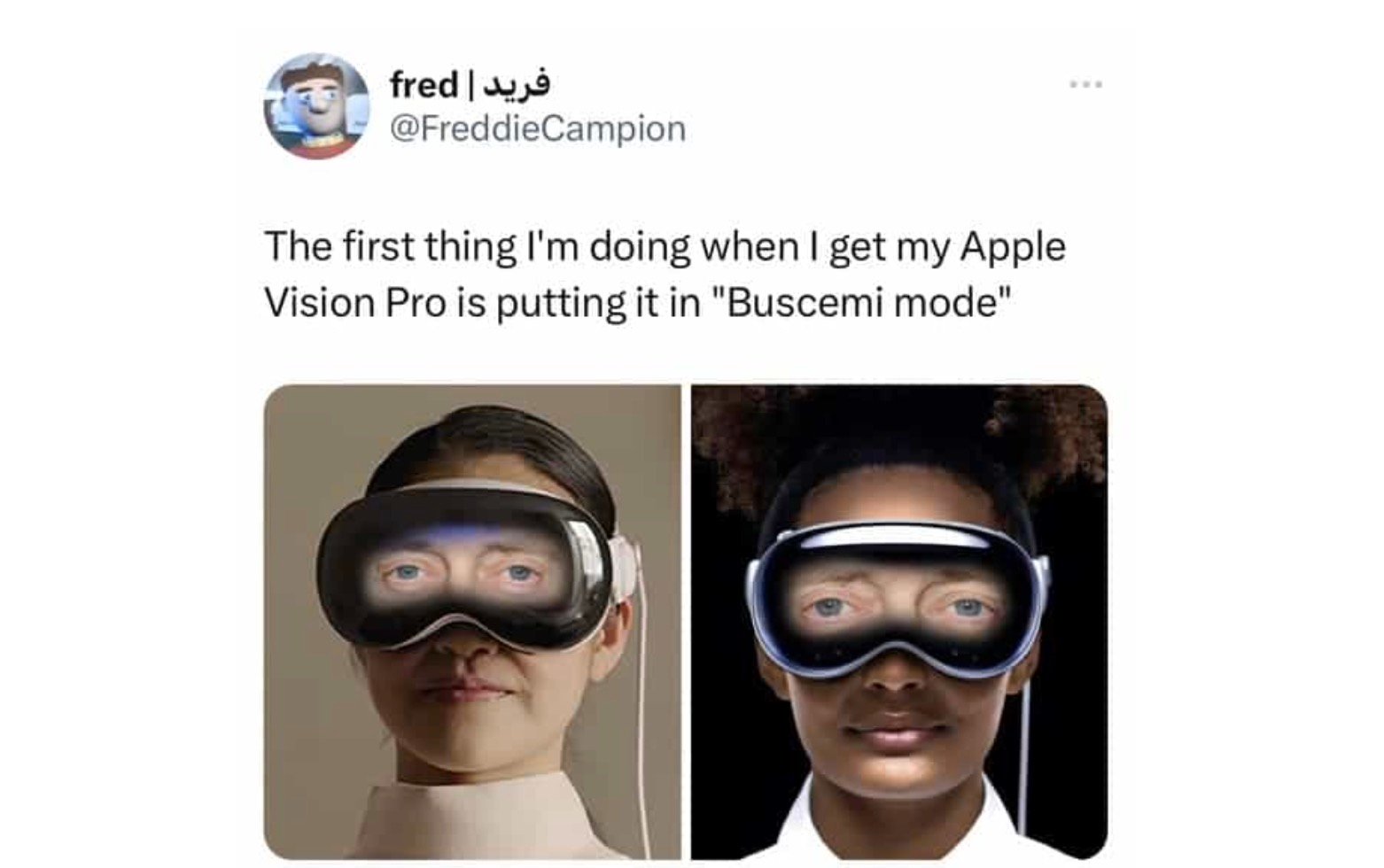 Apple Vision Pro : r/memes