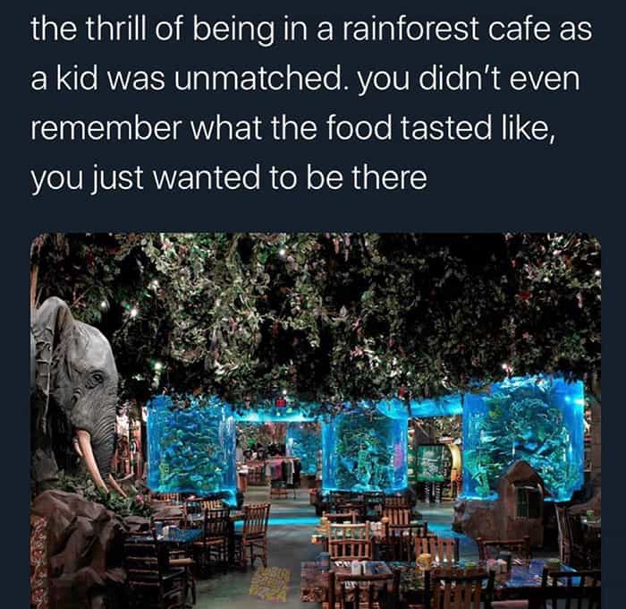 the thrill of being in a rainforest cafe as a kid was unmatched. you didn't even remember what the food tasted like, you just wanted to be there