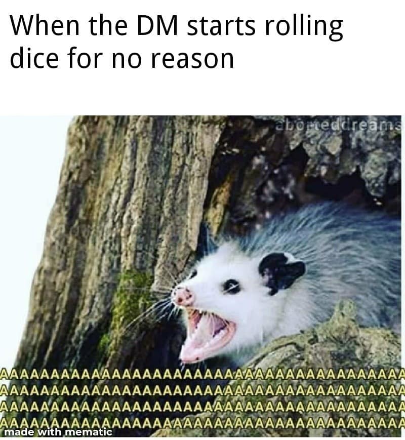 d&d memes