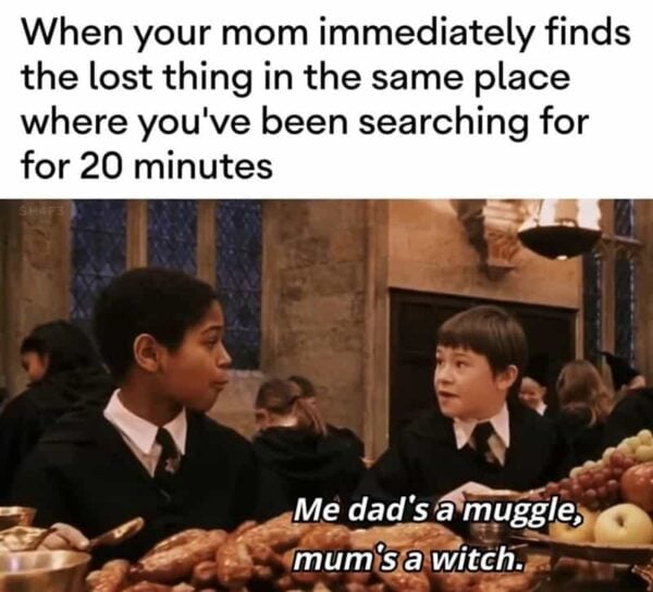30 Harry Potter Memes That Are Better Than the Second (And Worst) Dumbledore